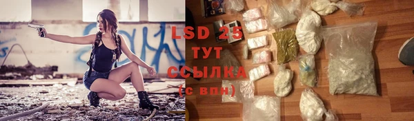 PSILOCYBIN Аркадак