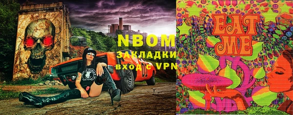 PSILOCYBIN Аркадак