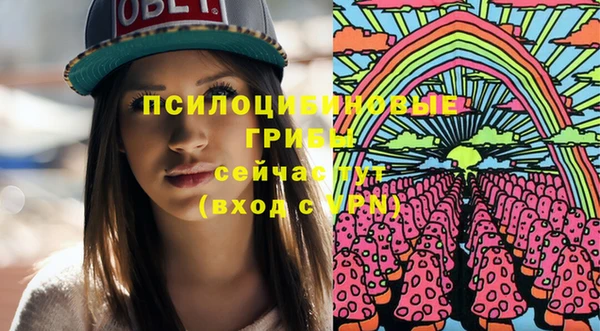 PSILOCYBIN Аркадак