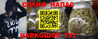 ГАЛЛЮЦИНОГЕННЫЕ ГРИБЫ Кингисепп
