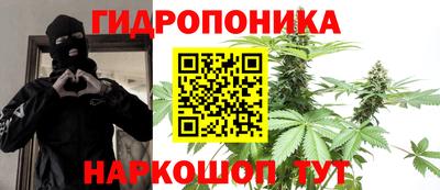 ГАЛЛЮЦИНОГЕННЫЕ ГРИБЫ Кингисепп