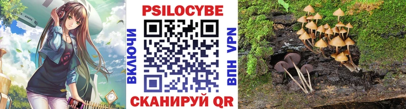 Псилоцибиновые грибы Cubensis  Нарткала 