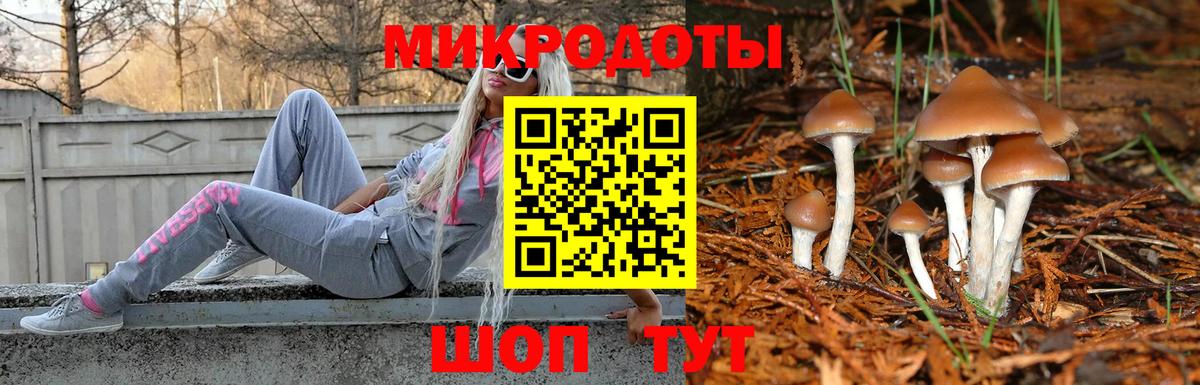 Нарткала  Псилоцибиновые грибы мицелий  Вход с VPN 