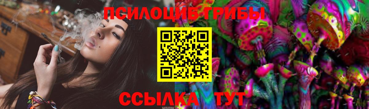 Псилоцибиновые грибы GOLDEN TEACHER Нарткала